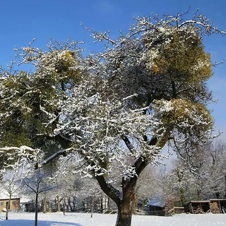 De Engelenhoeve Holiday home